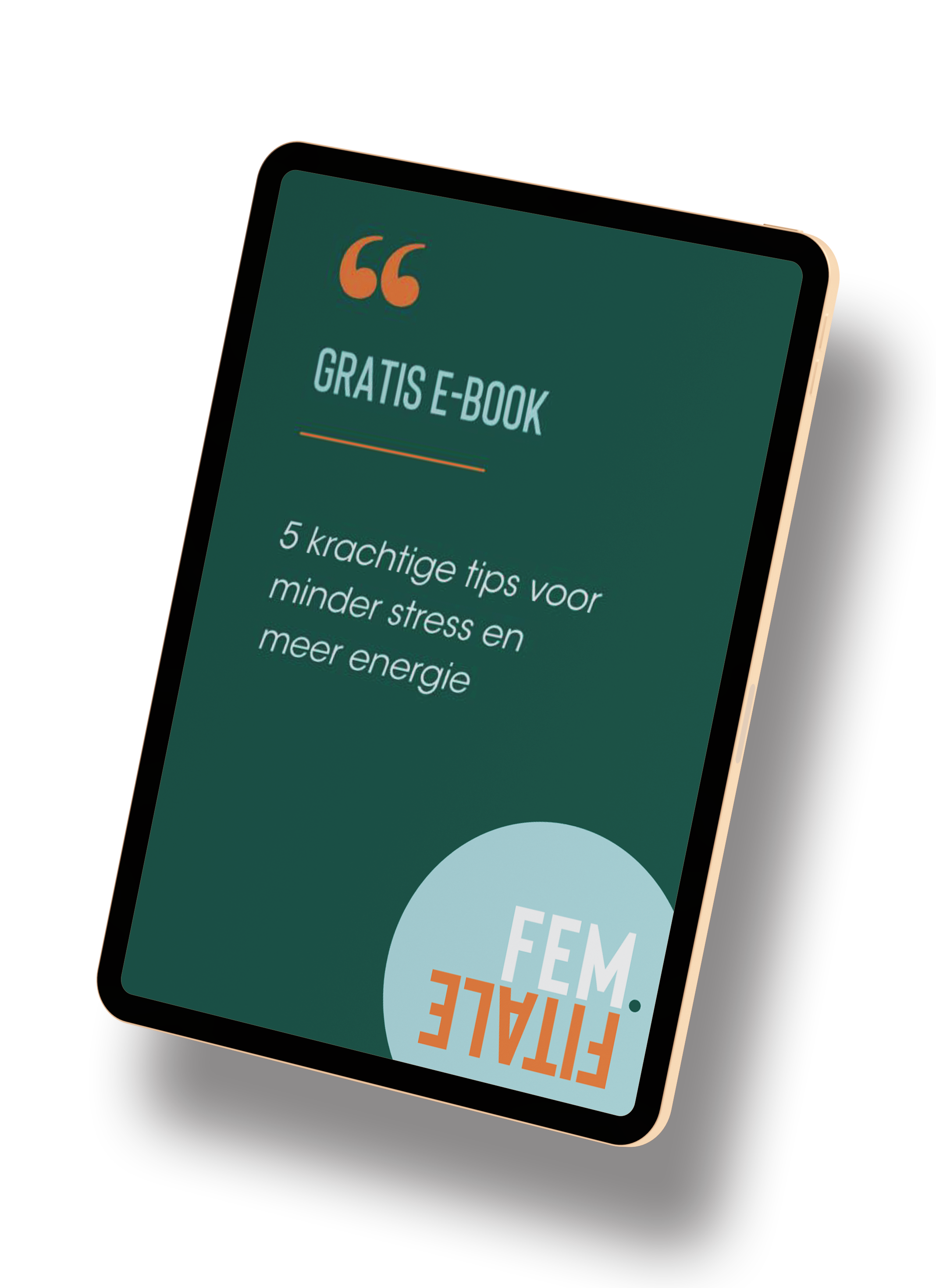 E-book FEM.FITALE